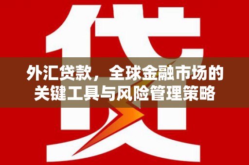 岭东外汇贷款，全球金融市场的关键工具与风险管理策略