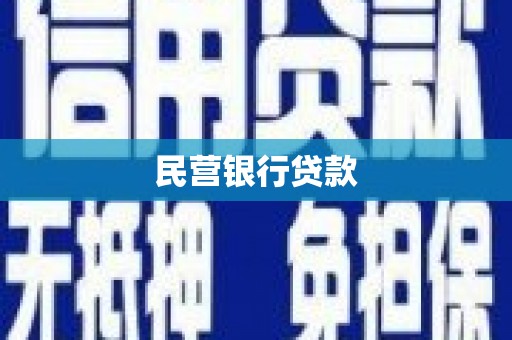 岭东民营银行贷款