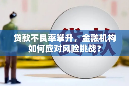 岭东贷款不良率攀升，金融机构如何应对风险挑战？