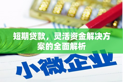 岭东短期贷款，灵活资金解决方案的全面解析