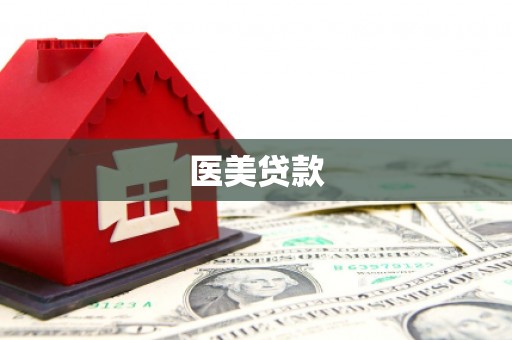 岭东医美贷款