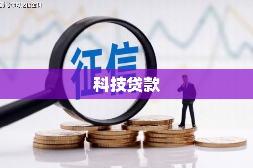 岭东科技贷款