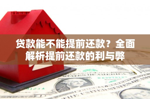 岭东贷款能不能提前还款？全面解析提前还款的利与弊