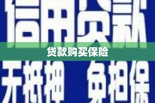 岭东贷款购买保险