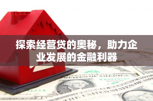 岭东探索经营贷的奥秘，助力企业发展的金融利器