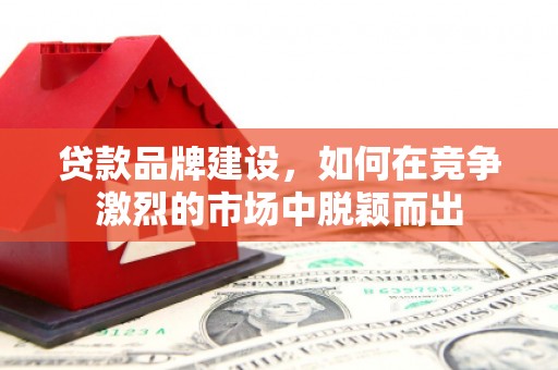 岭东贷款品牌建设，如何在竞争激烈的市场中脱颖而出