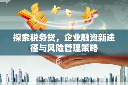 岭东探索税务贷，企业融资新途径与风险管理策略