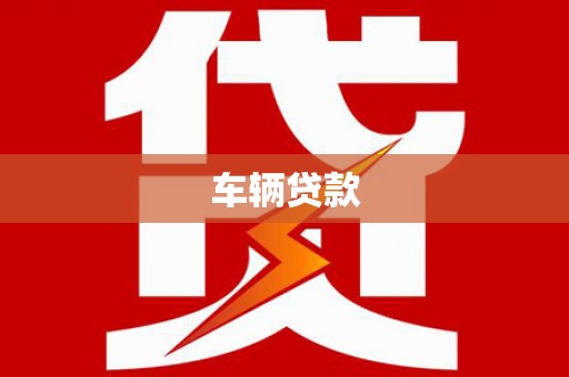 岭东车辆贷款