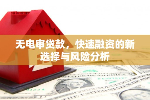 岭东无电审贷款，快速融资的新选择与风险分析