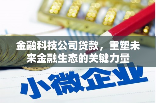 岭东金融科技公司贷款，重塑未来金融生态的关键力量