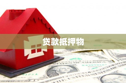 岭东贷款抵押物