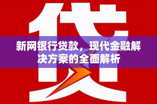 岭东新网银行贷款，现代金融解决方案的全面解析