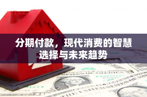 岭东分期付款，现代消费的智慧选择与未来趋势