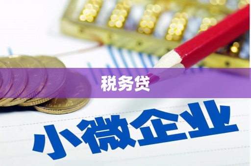 岭东税务贷