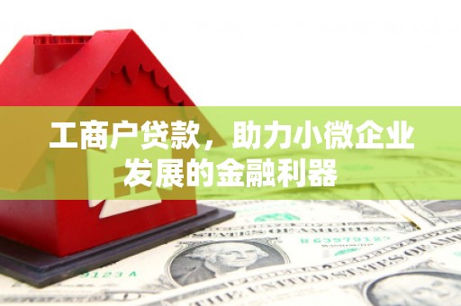岭东工商户贷款，助力小微企业发展的金融利器