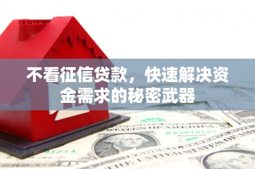 岭东不看征信贷款，快速解决资金需求的秘密武器