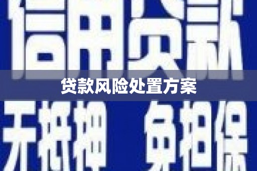 岭东贷款风险处置方案