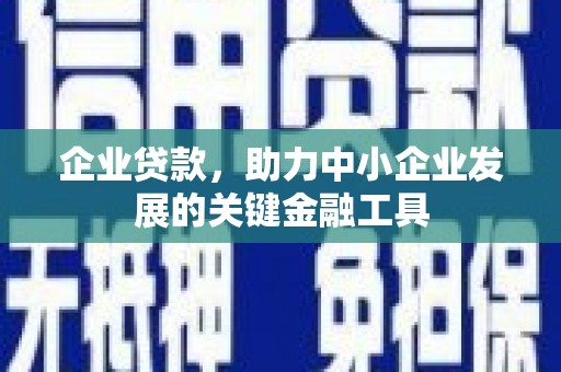 岭东企业贷款，助力中小企业发展的关键金融工具