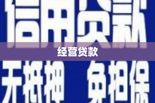 岭东经营贷款
