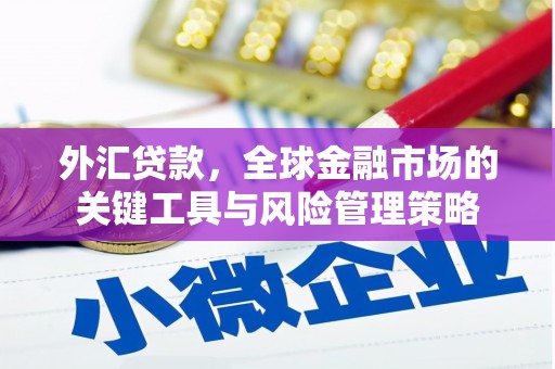 岭东外汇贷款，全球金融市场的关键工具与风险管理策略