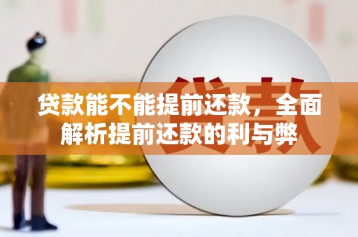 岭东贷款能不能提前还款，全面解析提前还款的利与弊