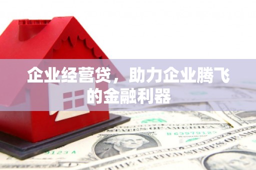 岭东企业经营贷，助力企业腾飞的金融利器