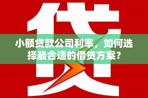 岭东小额贷款公司利率，如何选择最合适的借贷方案？