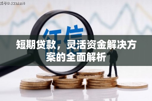 岭东短期贷款，灵活资金解决方案的全面解析