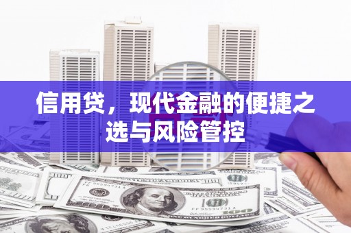 岭东信用贷，现代金融的便捷之选与风险管控