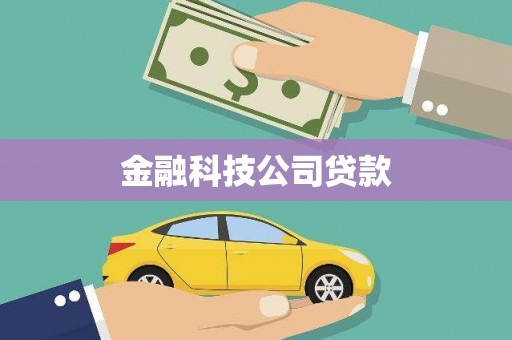 岭东金融科技公司贷款