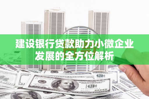 岭东建设银行贷款助力小微企业发展的全方位解析