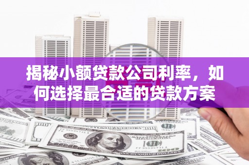 岭东揭秘小额贷款公司利率，如何选择最合适的贷款方案
