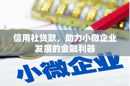 岭东信用社贷款，助力小微企业发展的金融利器