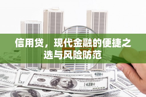 岭东信用贷，现代金融的便捷之选与风险防范