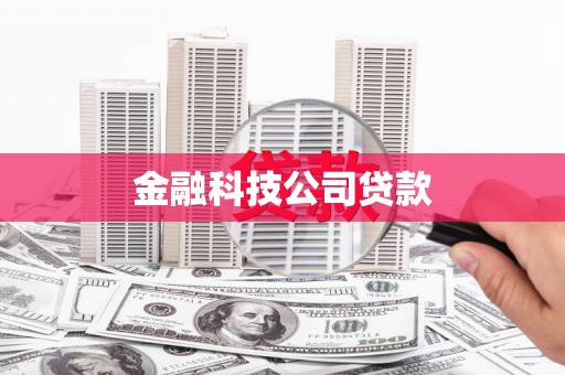 岭东金融科技公司贷款