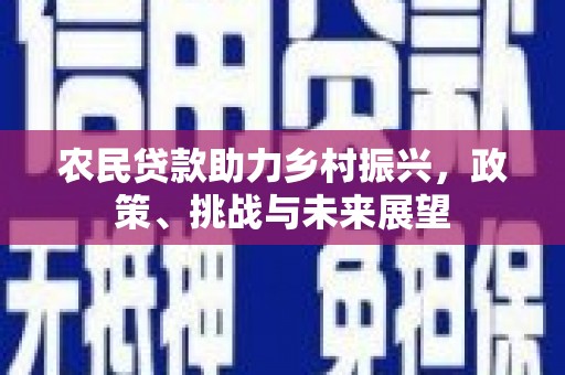 岭东农民贷款助力乡村振兴，政策、挑战与未来展望