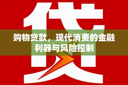 岭东购物贷款，现代消费的金融利器与风险控制