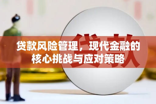 岭东贷款风险管理，现代金融的核心挑战与应对策略