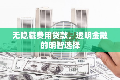 岭东无隐藏费用贷款，透明金融的明智选择