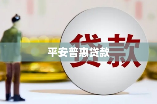 岭东平安普惠贷款