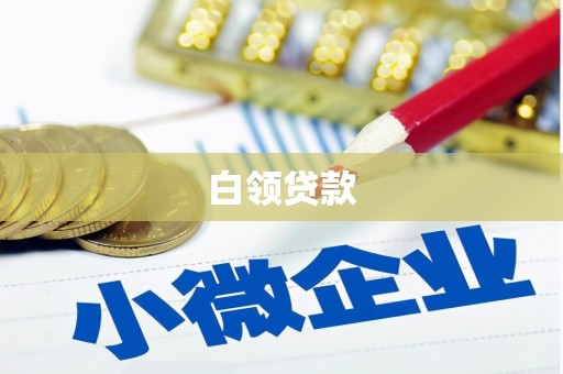 岭东白领贷款