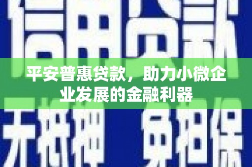岭东平安普惠贷款，助力小微企业发展的金融利器