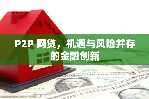 岭东P2P 网贷，机遇与风险并存的金融创新