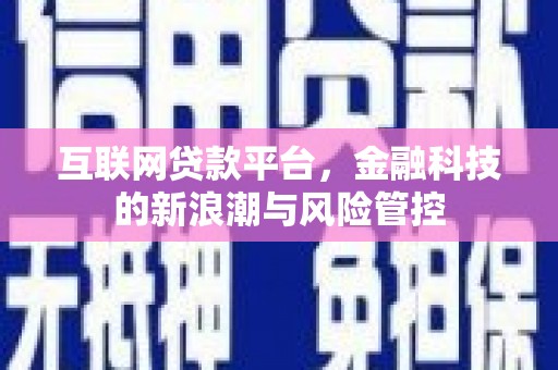 岭东互联网贷款平台，金融科技的新浪潮与风险管控