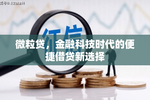 岭东微粒贷，金融科技时代的便捷借贷新选择