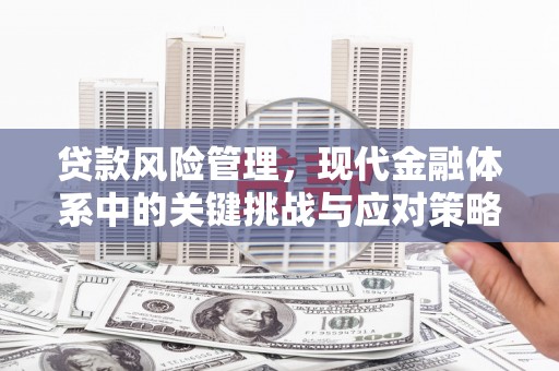 岭东贷款风险管理，现代金融体系中的关键挑战与应对策略
