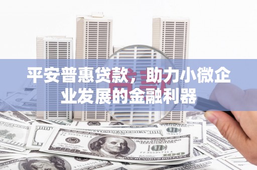 岭东平安普惠贷款，助力小微企业发展的金融利器