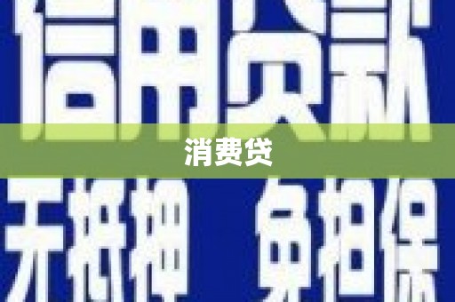 岭东消费贷
