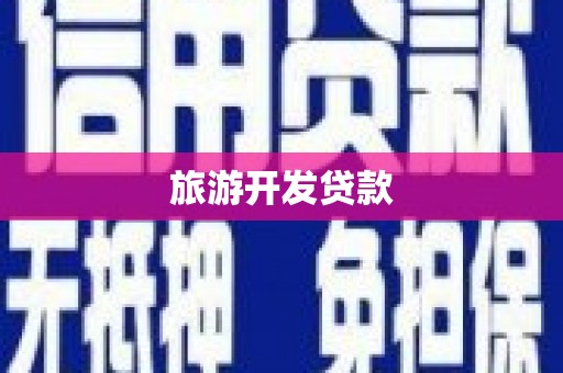岭东旅游开发贷款