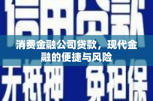 岭东消费金融公司贷款，现代金融的便捷与风险